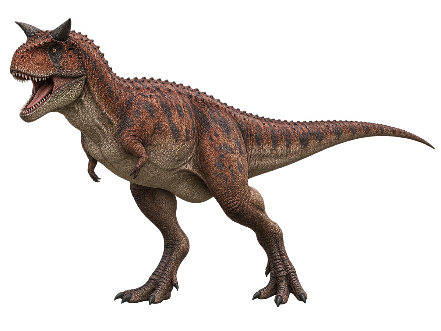 Carnotaurus — Reconstruction